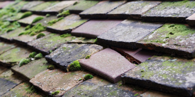 Pebmarsh roof repair costs
